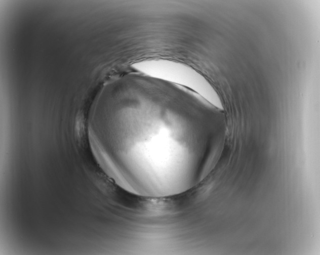 X0000088740623200706212058