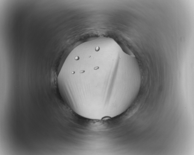 X0000088740624200706212058