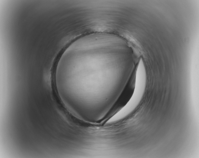 X0000088740626200706212057