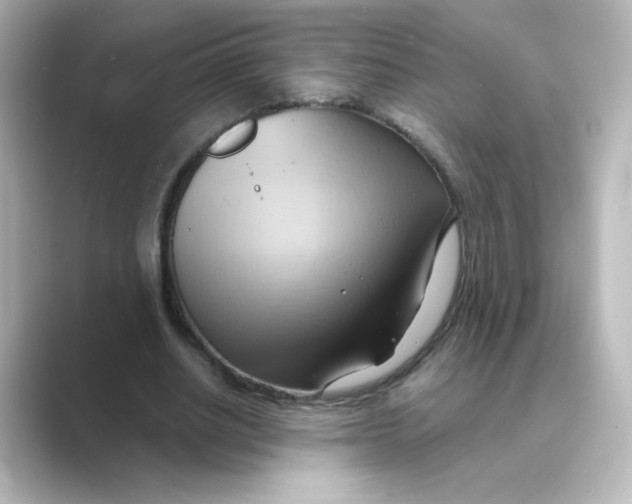 X0000088740630200706212057