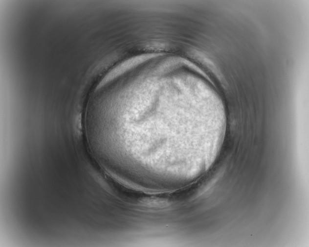 X0000088740633200706212057