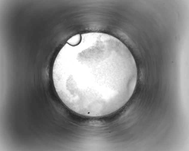 X0000088740636200706212057