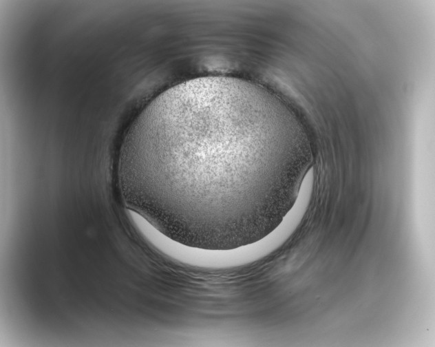 X0000088740639200706212057