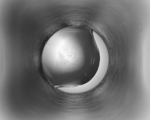 X0000088740641200706212057