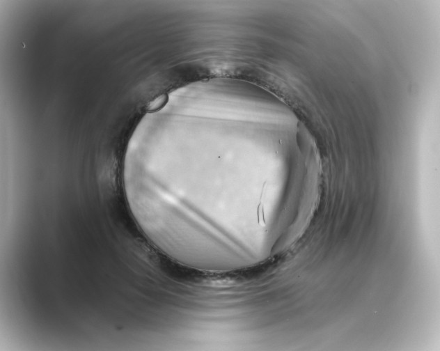 X0000088740650200706212057