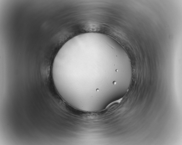X0000088740652200706212057