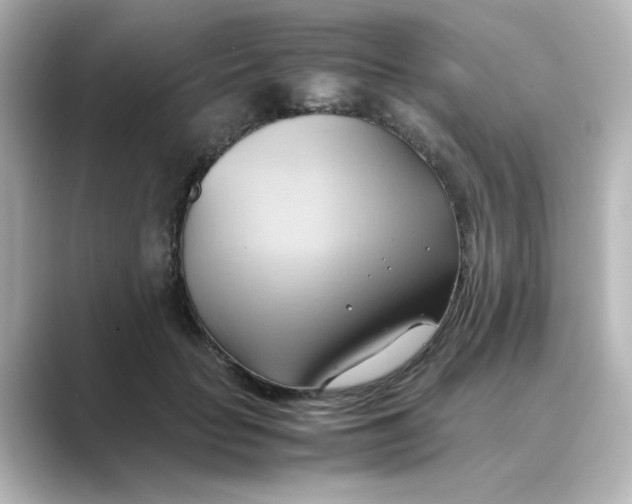 X0000088740653200706212057