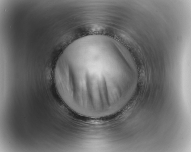 X0000088740654200706212057