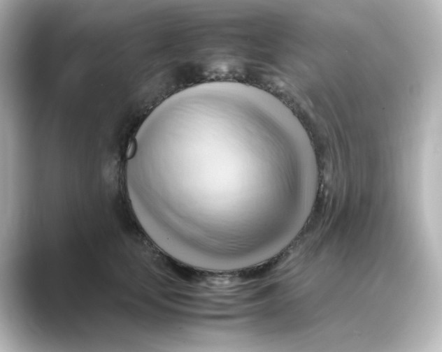 X0000088740659200706212058