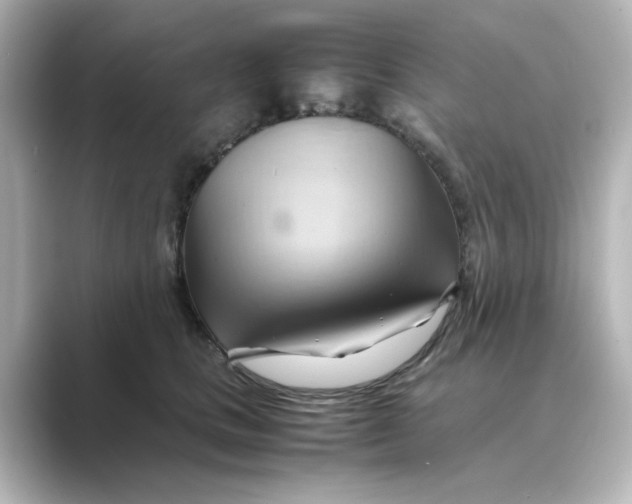 X0000088740661200706212058