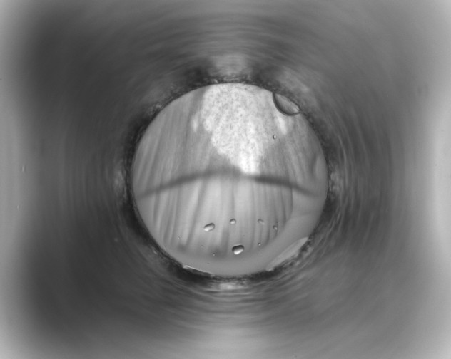 X0000088740662200706212058