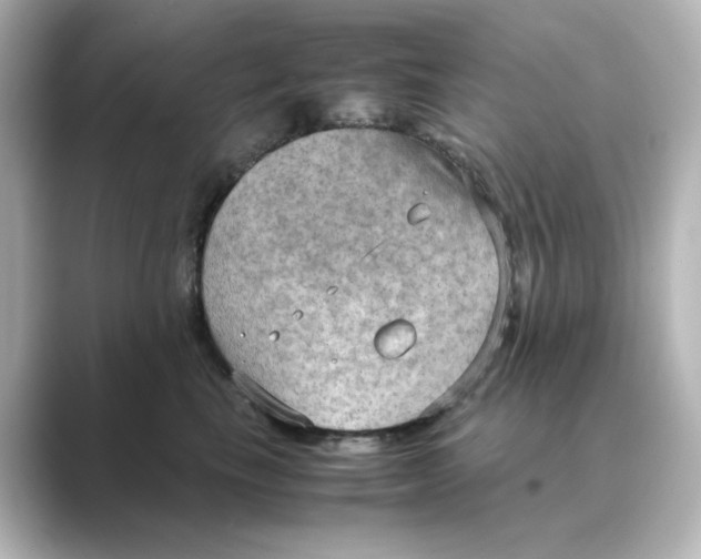 X0000088740665200706212058