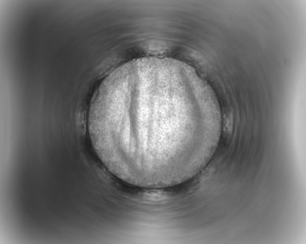X0000088740666200706212058