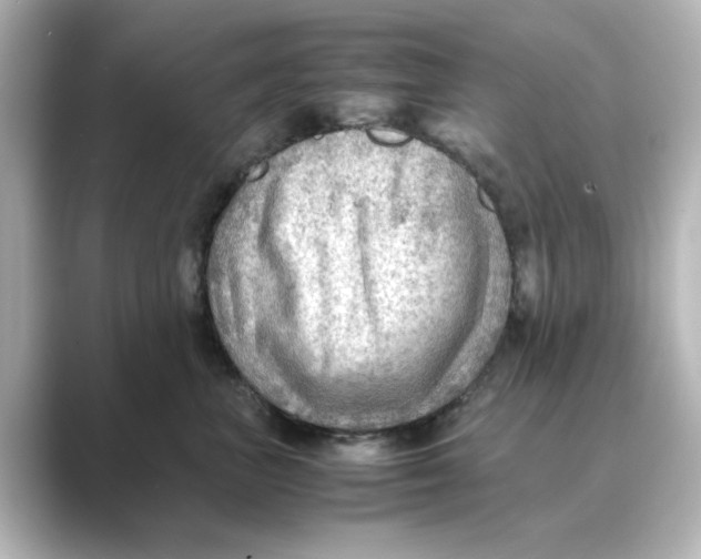 X0000088740667200706212058