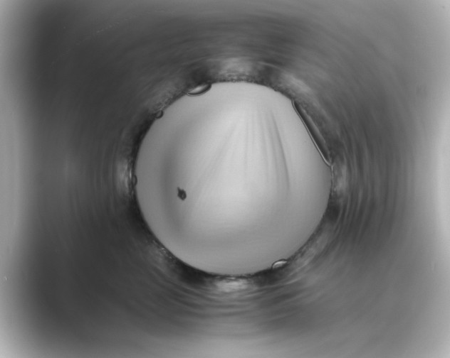 X0000088740669200706212058