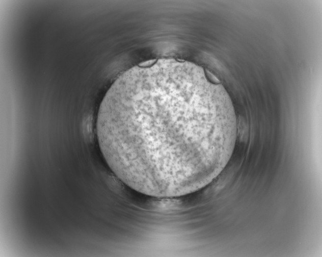 X0000088740670200706212058