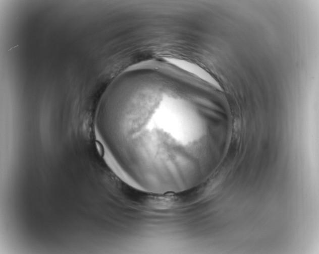 X0000088740671200706212058