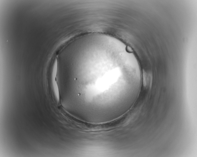 X0000088740675200706212057