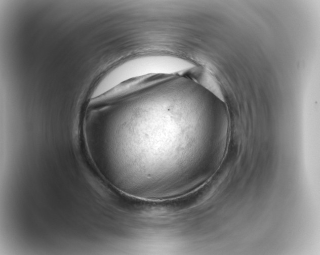 X0000088740677200706212057