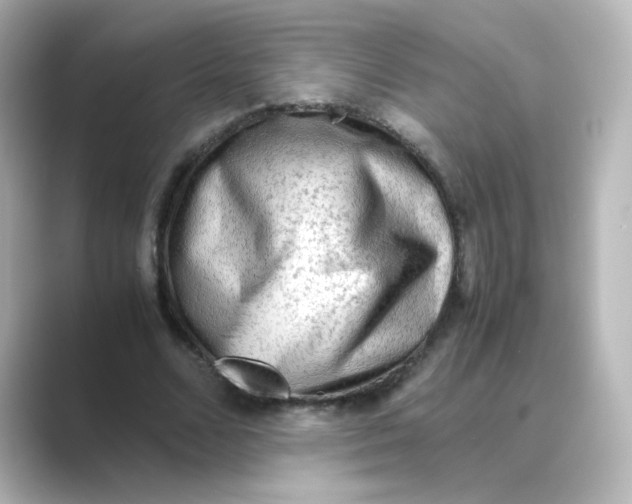 X0000088740680200706212057