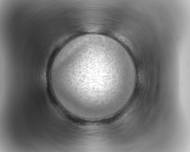 X0000088740682200706212057