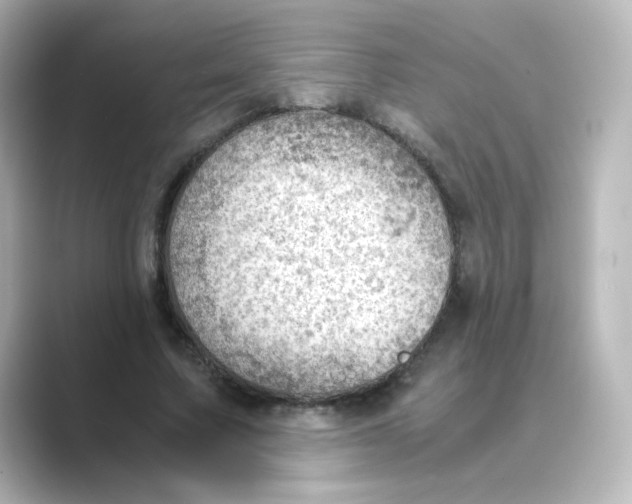 X0000088740683200706212057