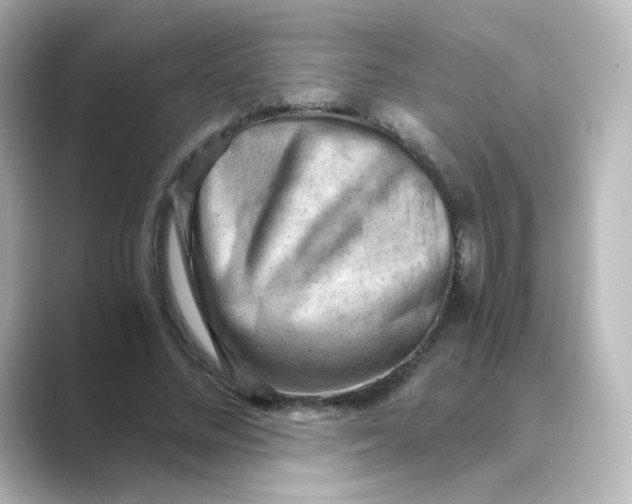 X0000088740684200706212057
