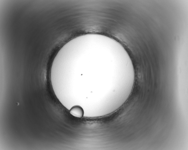 X0000088740686200706212057