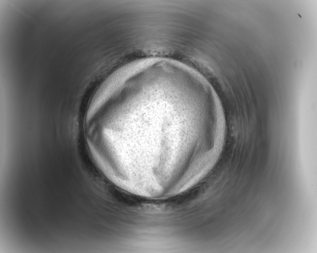 X0000088740690200706212057