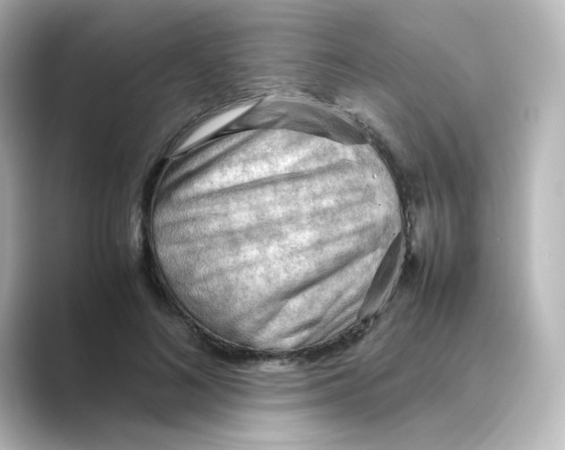 X0000088740692200706212057