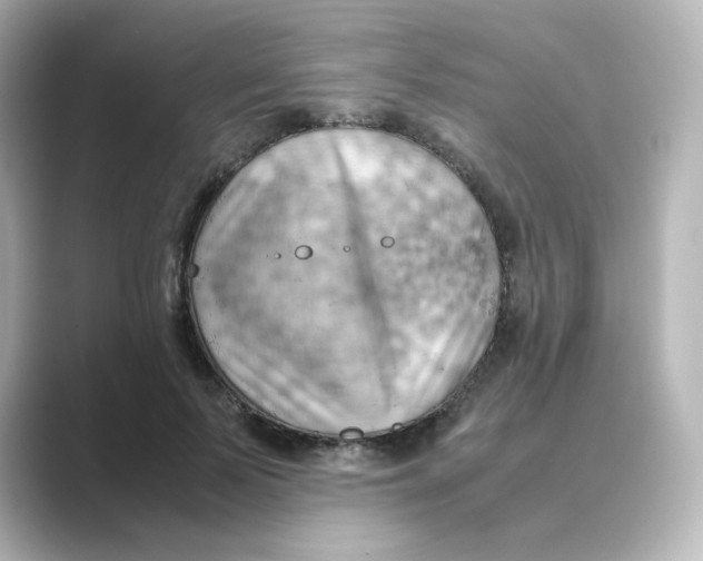 X0000088740695200706212057