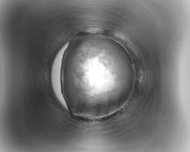 X0000088740696200706212057