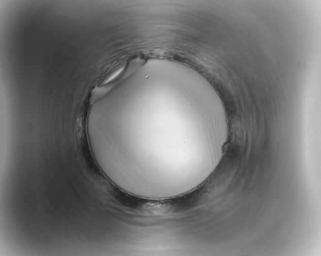 X0000088740699200706212057