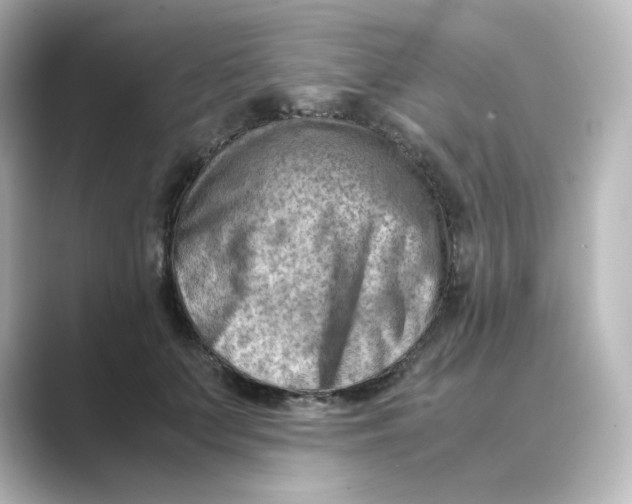 X0000088740703200706212057