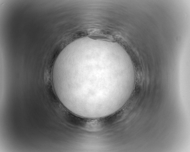 X0000088740705200706212057