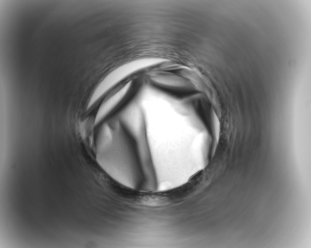 X0000088740708200706212057