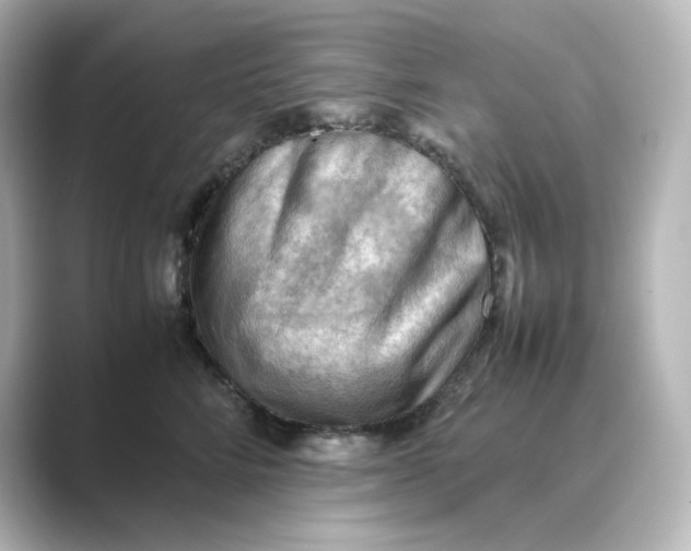 X0000088740712200706212057