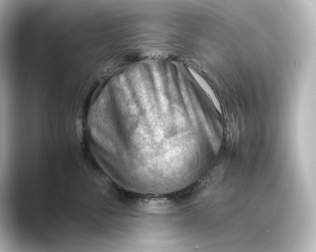 X0000088740716200706212057