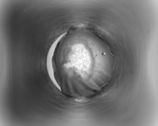 X0000088740720200706212057