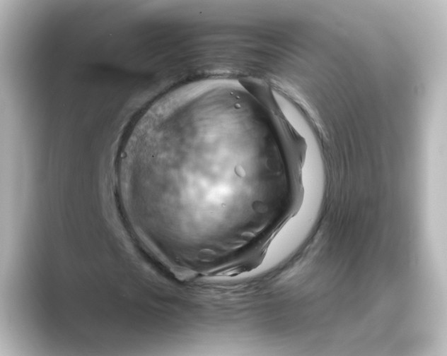 X0000088740721200706212056