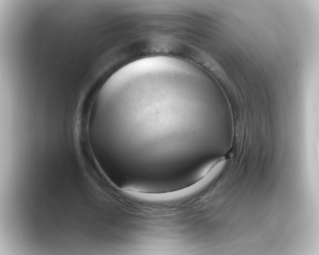 X0000088740722200706212056