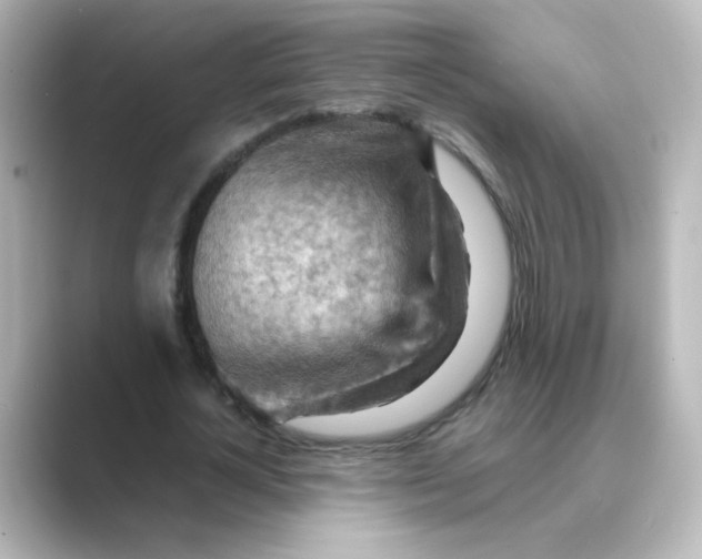X0000088740724200706212056