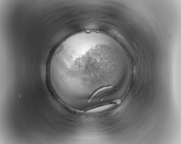 X0000088740725200706212056