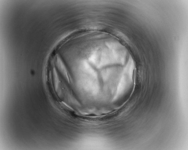 X0000088740726200706212056
