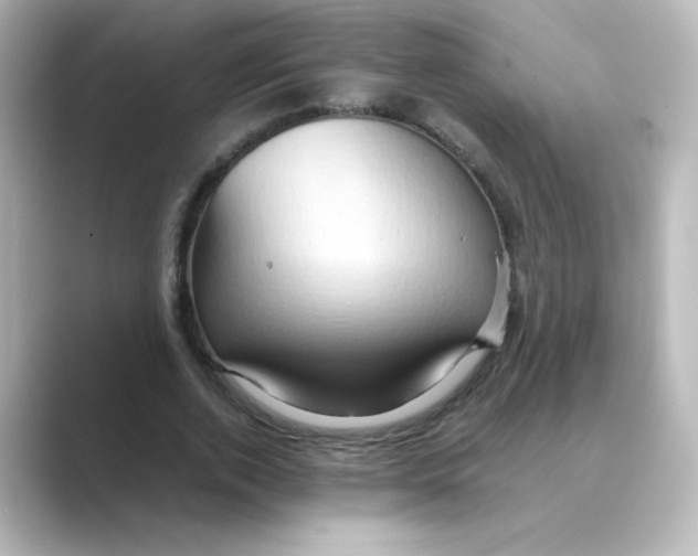 X0000088740728200706212056