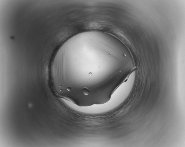 X0000088740729200706212056