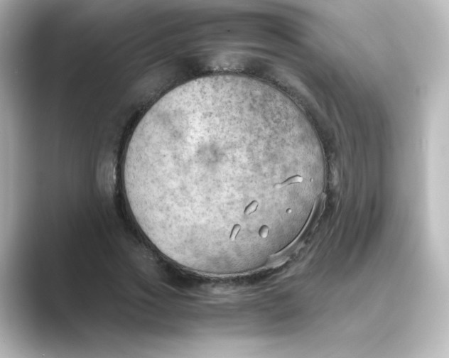 X0000088740733200706212056