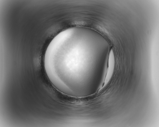 X0000088740735200706212056