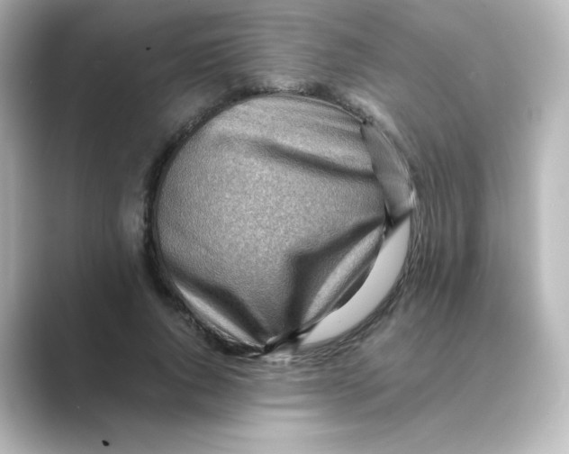 X0000088740736200706212056