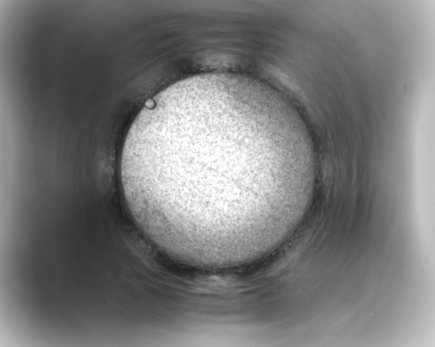 X0000088740737200706212056
